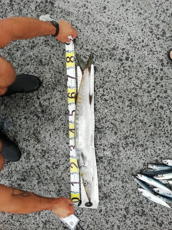 Fish Measure Picture